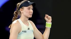 解析弗拉迪米尔葛雷诺的暴力打击